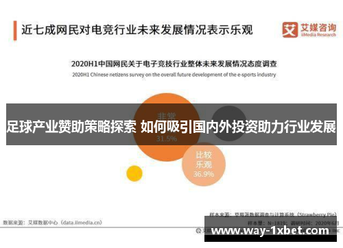 足球产业赞助策略探索 如何吸引国内外投资助力行业发展 足球产业赞助策略探索 如何吸引国内外投资助力行业发展