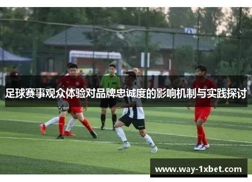 足球赛事观众体验对品牌忠诚度的影响机制与实践探讨 足球赛事观众体验对品牌忠诚度的影响机制与实践探讨