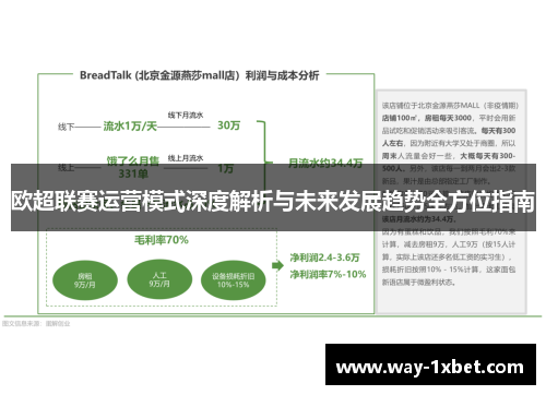 欧超联赛运营模式深度解析与未来发展趋势全方位指南
