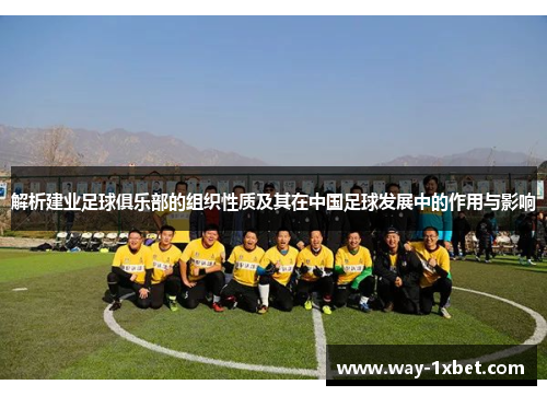 解析建业足球俱乐部的组织性质及其在中国足球发展中的作用与影响