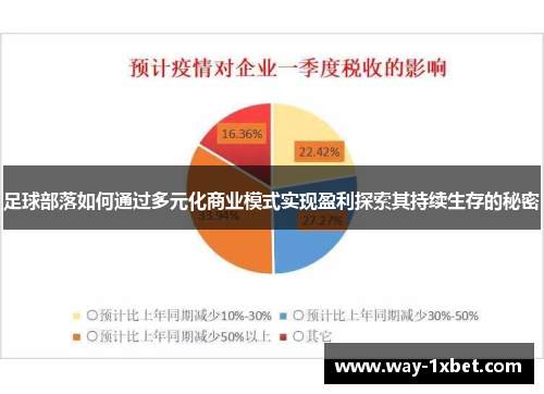 足球部落如何通过多元化商业模式实现盈利探索其持续生存的秘密