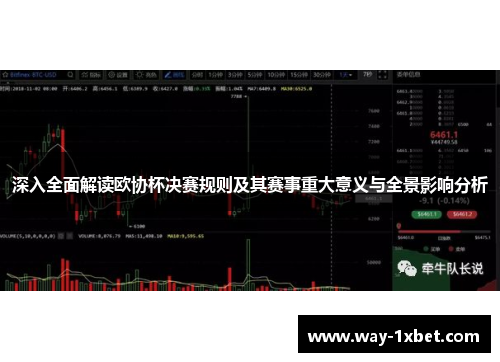 深入全面解读欧协杯决赛规则及其赛事重大意义与全景影响分析 深入全面解读欧协杯决赛规则及其赛事重大意义与全景影响分析