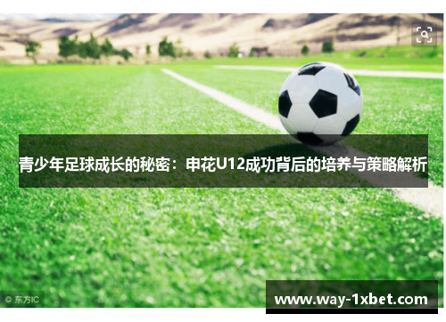 青少年足球成长的秘密:申花U12成功背后的培养与策略解析 青少年足球成长的秘密:申花U12成功背后的培养与策略解析