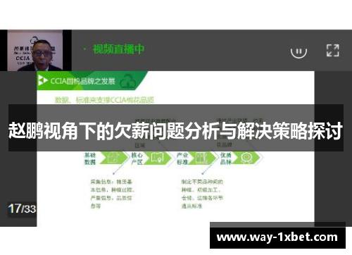 赵鹏视角下的欠薪问题分析与解决策略探讨