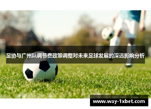 足协与广州队调节费政策调整对未来足球发展的深远影响分析